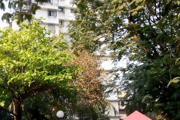 Flat on rent in Salvation Apartment, Prabhadevi