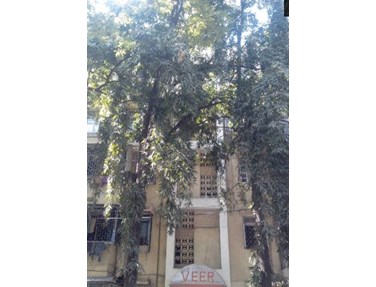 Flat on rent in Veer Apartment, Santacruz West