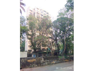 Flat on rent in Sea King, Bandra West