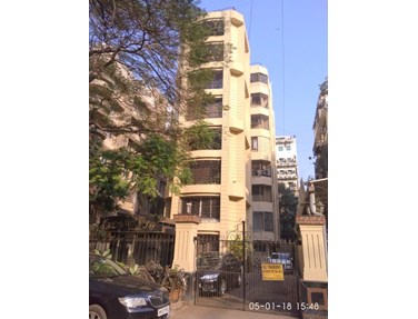 Flat on rent in Flamingo, Khar West