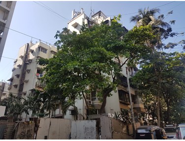 Flat on rent in Ivory Tower, Juhu