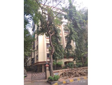 Flat on rent in Cozydell, Bandra West