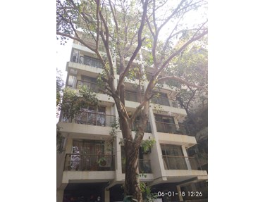 Flat on rent in Pushparaj, Khar West