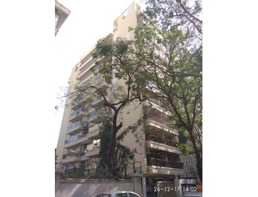 Flat on rent in Casa D Angels, Bandra West