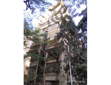 Flat on rent in Shamrock, Santacruz West