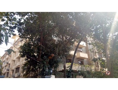 Flat on rent in Pallonji Mansion, Cuffe Parade