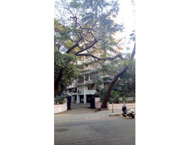 Flat on rent in Wood House, Colaba