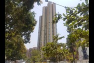 3 Bhk Available For Rent In Ng Eclat