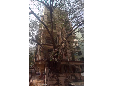 Himatghar - Himath Ghar, Khar West