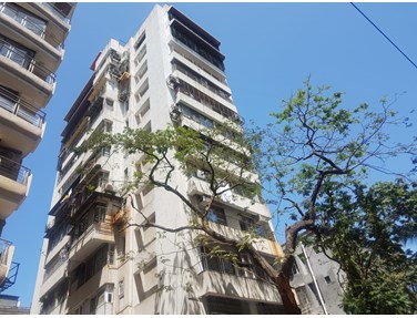 Flat on rent in Agarwal House, Juhu