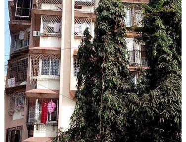 Flat on rent in Orion, Khar West