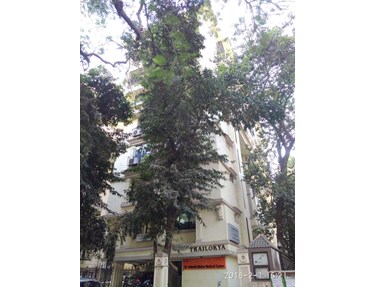 Flat on rent in Trilokya, Khar West