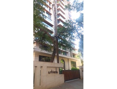 Flat on rent in Art Veda, Bandra West