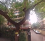 Flat on rent in Sand Pebbles, Bandra West