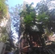 Flat for sale in Lotus Anaya, Juhu