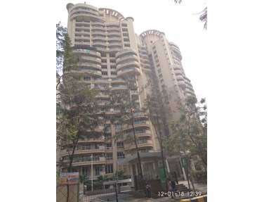 Flat on rent in Mimosa and Mirabilis, Powai