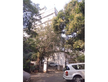 Flat on rent in Padamsee House, Bandra West