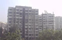 Flat on rent in Ajay Apartment, Byculla