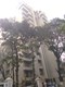 Flat on rent in Pinnacle Gold, Bandra West