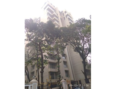 Pinnacle Gold, Bandra West