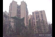 3 Bhk Flat In Andheri West On Rent In Golden Rays